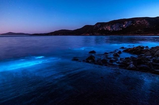 The Mystery of the Blue Glow in Tasmanian Shores Photo 6