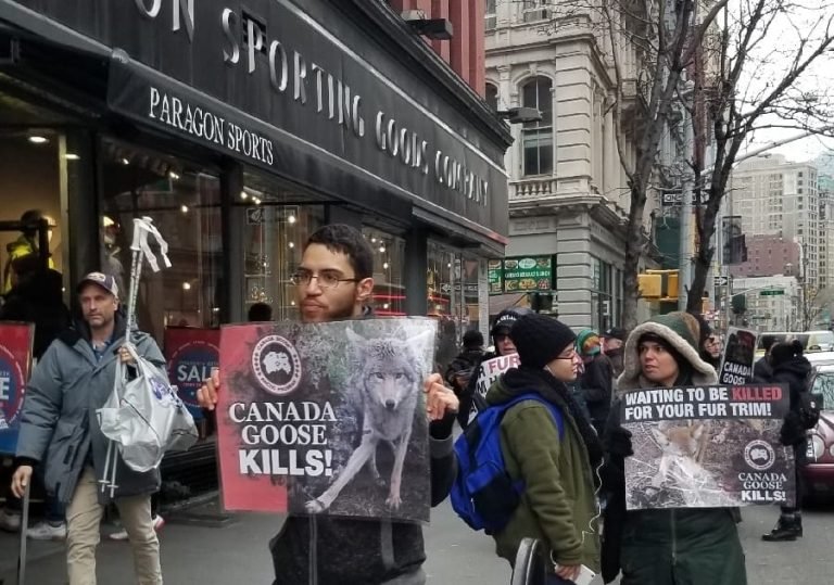 Protesting Paragon Sporting Goods Company in New York City