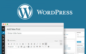 Why is WordPress the Best Platform for Bloggers